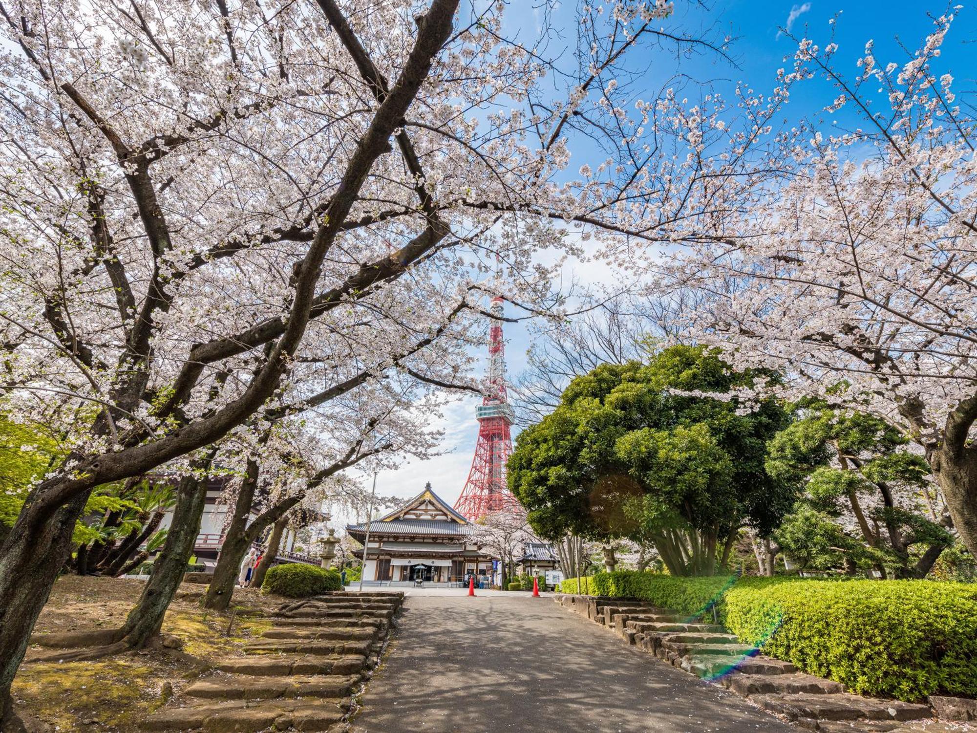 Illi Rom Hamamatsucho Hotel Tokyo Eksteriør billede